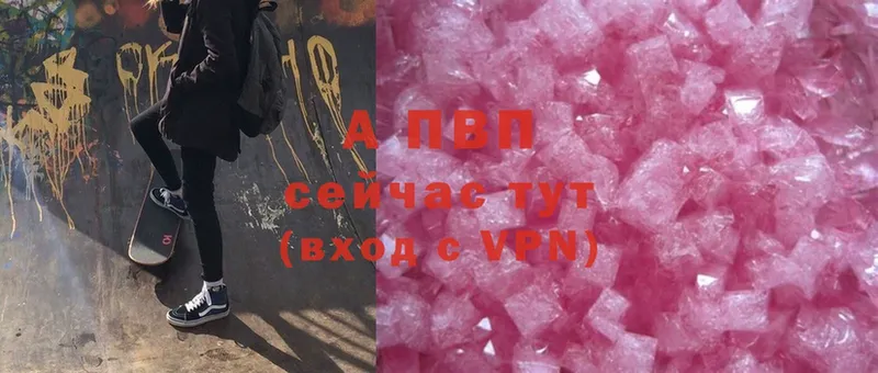 A PVP СК КРИС  Западная Двина 